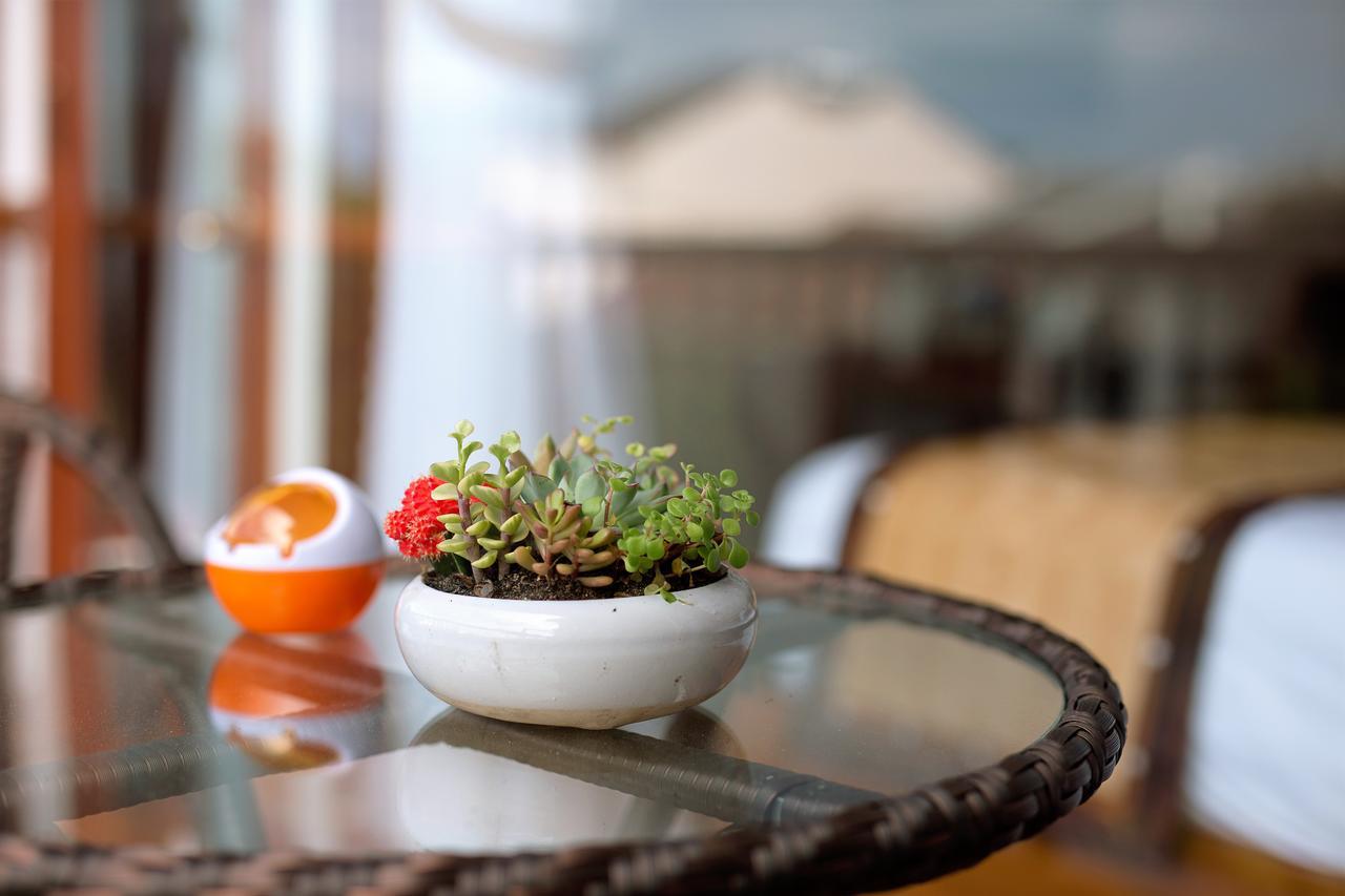Hoi An VI Khoa Villa Exteriér fotografie